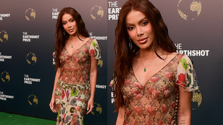 Ela pode tudo! Anitta ignora protocolo real e exibe look transparente ousado em evento de príncipe William no Rio; veja fotos