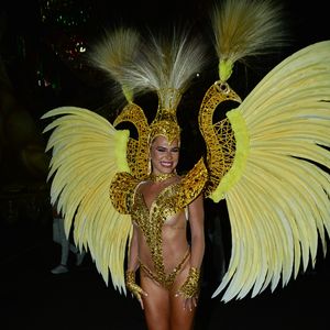 Musa da Grande Rio, Mariana Goldfarb roubou a cena pelas plumas da fantasia