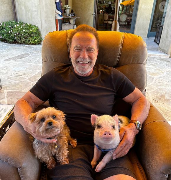 Segundo Arnold Schwarzenegger, essa atitude ajuda a manter os bons hábitos todos os dias e não prejudica seu desempenho pelo excesso de pensamentos
