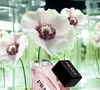 Prada Paradoxe Virtual Flower, uma fragrância desenvolvida em colaboração com inteligência artificial
