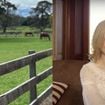 De Hollywood para uma fazenda de R$ 24 milhões: Nicole Kidman vive neste refúgio rural luxuoso com piscina de 18 metros, 10 lareiras e uma casa de hóspedes em meio à natureza; veja fotos!