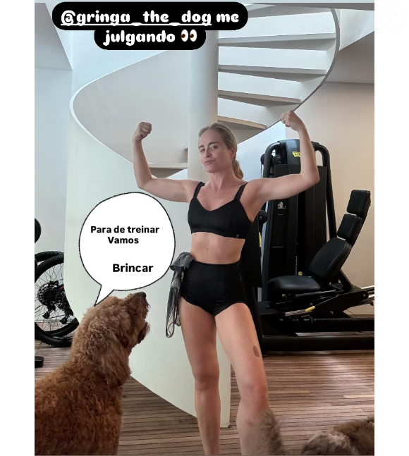 Angélica ainda brincou nos stories com o julgamento de Gringa, sua cachorrinha