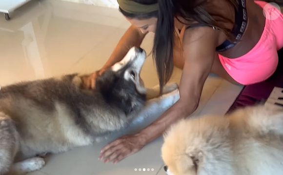 Gracyanne Barbosa foi presenteada com a cachorrinha Angel por membros de seu fã-clube, em 2013