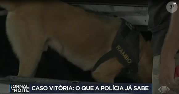 Caso Vitória, de Cajamar: polícia achou vestígios de sangue em carro de um suspeito