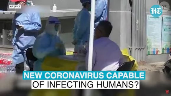 Novo coronavírus pode se espalhar pela Humanidade via pangolins, um tipo de mamífero