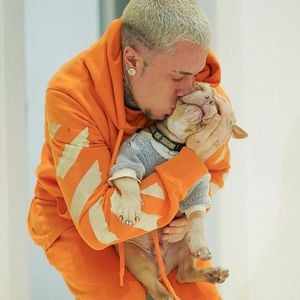 Quem conversa com animal de estimação como se ele fosse gente apresentam redução do estresse e melhora do bem-estar