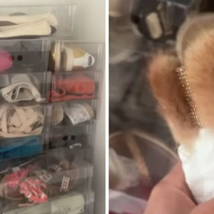 Tríplex de R$ 75 milhões: luxo, leilão e... sapatos vintage esquecidos!