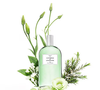 Com notas de íris, hera, lírio e pétalas de rosa, o Nº 3 Iris Luminoso se destaca por unir frescor e sofisticação, mostrando que perfumes leves também têm espaço nos dias frios
