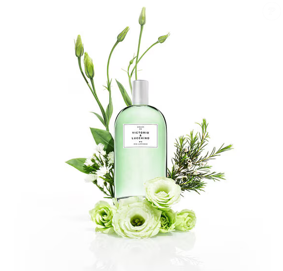 Com notas de íris, hera, lírio e pétalas de rosa, o Nº 3 Iris Luminoso se destaca por unir frescor e sofisticação, mostrando que perfumes leves também têm espaço nos dias frios