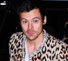 Pão de queijo, mercado gourmet e corrida no parque urbano mais visitado da América Latina: o que Harry Styles fez por São Paulo antes dos shows