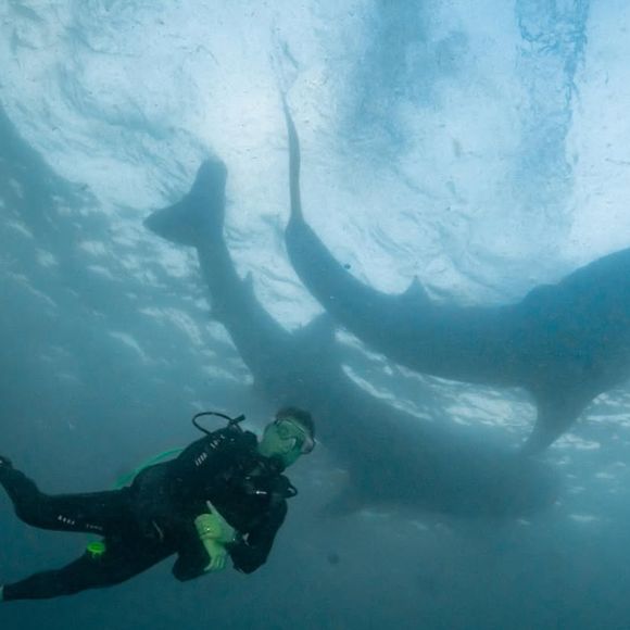 As fotos compartilhadas pelo apresentador Luciano Huck durante sua viagem com a esposa, Angélica, e os filhos à Tailândia, chamaram a atenção dos seguidores nas redes sociais.