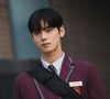 Cha Eun-woo vive Lee Su-ho em Beleza Verdadeira. Apesar de tímido e reservado, o jovem conquista com sua beleza e empatia