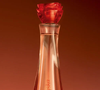 Sucesso desde os anos 1990, o Kriska continua sendo uma das fragrâncias mais lembradas da Natura. Com notas florais, toque adocicado e fundo amadeirado, o perfume se mantém atual e elegante mesmo após mais de 30 anos de história