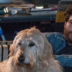 O filme da vez é "Nossa Vida com Cães (Dog Days)", uma produção norte-americana que entrelaça cinco histórias encantadoras, todas ligadas pelo amor aos pets