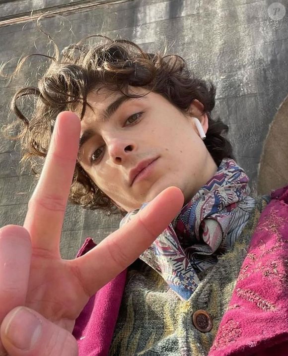 "Timothée deixou claras suas intenções desde o início: nunca quis ser um acessório", disse uma fonte ao Daily Mail