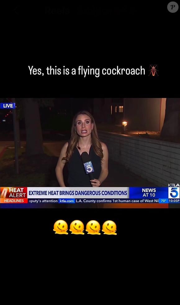 Cena inacreditável na TV! O vídeo da barata passeando pelo corpo da repórter Rachel Menitoff durante uma transmissão ao vivo viralizou e arrancou elogios pela tranquilidade da jornalista