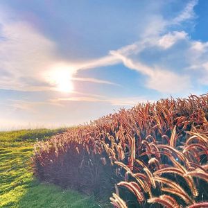 Rancho da Montanha, a casa de campo de Bruno Gagliasso e Giovanna Ewbank, está localizado em Paraíba do Sul, município do Rio de Janeiro