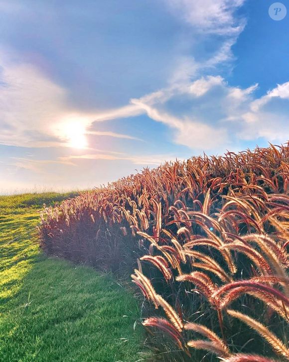 Rancho da Montanha, a casa de campo de Bruno Gagliasso e Giovanna Ewbank, está localizado em Paraíba do Sul, município do Rio de Janeiro