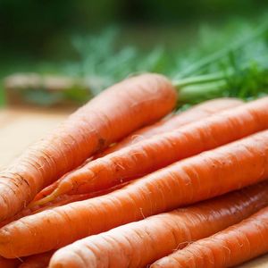 As cenouras contribuem para regular a pressão arterial e equilibrar os níveis do colesterol LDL, além de prevenir a prisão de ventre