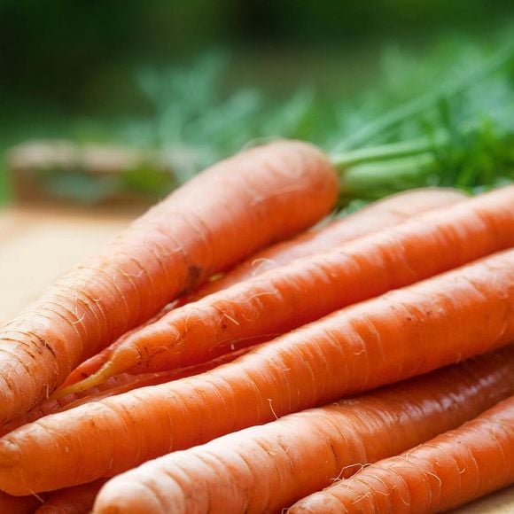 As cenouras contribuem para regular a pressão arterial e equilibrar os níveis do colesterol LDL, além de prevenir a prisão de ventre