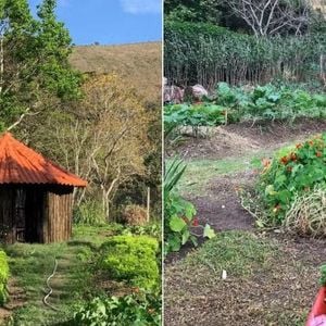 Hortaliças de Marcos Palmeira são comercializadas e viraram referência na região do Rio