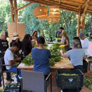 Desde 2022, Thiago Lacerda e a mulher, Vanessa Lóes, cultivam lúpulo no local. A planta é um dos ingredientes fundamentais para a produção de cerveja e passou a ocupar um espaço importante na rotina do casal.