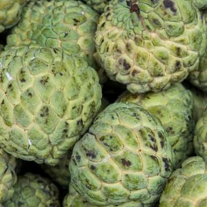 Atemoia é rica em fibras, o que ajuda a melhorar o funcionamento do intestino, ajudando a combater a prisão de ventre