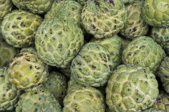 Atemoia é rica em fibras, o que ajuda a melhorar o funcionamento do intestino, ajudando a combater a prisão de ventre