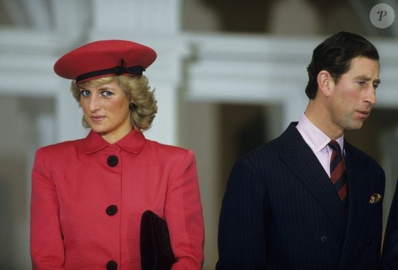 De acordo com Richard Kay, o documentário planejado por Harry teria como referência os 30 anos da morte de Diana, que serão completados em 2027, e ocuparia parte importante do primeiro ano de retorno do príncipe ao Reino Unido