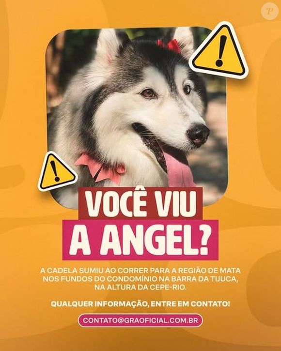 Cachorrinha de Gracyanne Barbosa, Angel está desaparecida