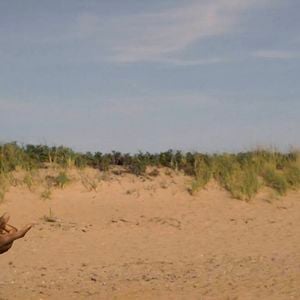 Maurice, um enfermeiro gentil interpretado por James Bland, que ajuda Lourenço, interpretado por Pigossi, a repensar seus rumos e a reconstruir a própria vida