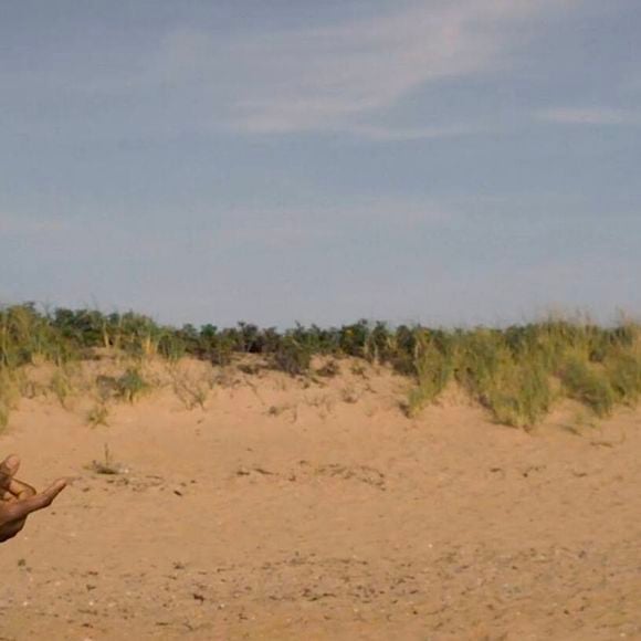 Maurice, um enfermeiro gentil interpretado por James Bland, que ajuda Lourenço, interpretado por Pigossi, a repensar seus rumos e a reconstruir a própria vida
