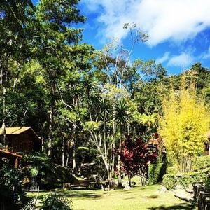 Sítio de Marcello Novaes era do seu tio e o ator comprou a propriedade nos últimos anos