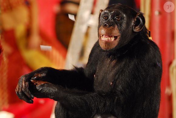 Xico é o melhor amigo de Denis (Marcos Pasquim) em 'Caras & Bocas' novela que deve substituir 'História de Amor', na Faixa Especial da Globo