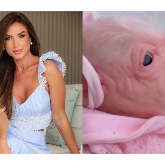 A influenciadora surpreendeu os seguidores ao exibir o 'bebê reborn suína', vestida como um bebê humano