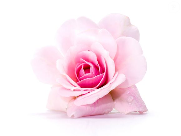 A cor rosa brilhante tem relação com a dependência emocional