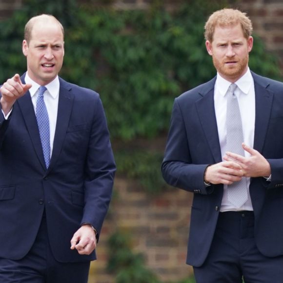 O Príncipe William, por sua vez, apoiou o assunto porque ele e Príncipe Harry estudaram no mesmo colégio durante sua adolescência