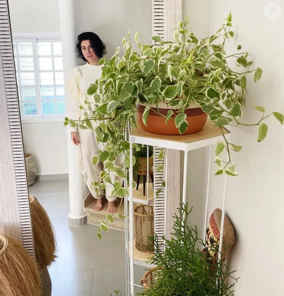 Foto mostra a atriz Fernanda Paes Leme rodeada de plantas em seu apartamento; ela mesma já se chamou de ‘mãe de planta dedicada’.
