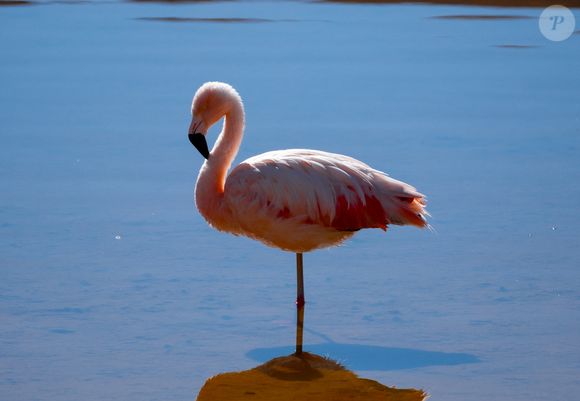 Quem ficar hospedado no local, vai poder desfrutar das belezas do Deserto do Atacama.