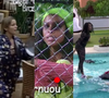 ‘BBB 26’ está chegando! 10 momentos históricos que todo fã raiz do reality guarda na memória
