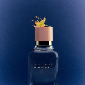 Elegante, cremoso e envolvente: o Fields at Nightfall, da Zara, conquistou uma consumidora há mais de cinco anos e virou o perfume que mais rende elogios, até mesmo da manicure