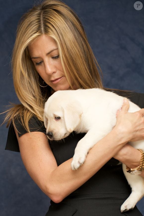 Jennifer Aniston nos bastidores que você nunca viu: do 'Marley tranquilo' ao 'Marley bagunceiro'