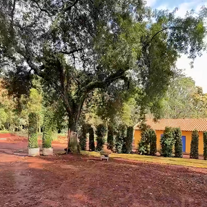 O casamento de Ana Hickmann e Edu Guedes terá como cenário uma fazenda histórica que ganhou até uma vila italiana durante a reforma. De acordo com a Quem, o espaço foi criado para ligar o salão principal à casa da fazenda e receber os convidados em um ambiente aconchegante e iluminado