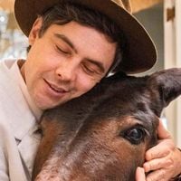 Do macaco pintor ao burro fofoqueiro: 6 amigos mais improváveis (e divertidos) das novelas brasileiras que valem mais do que muitos humanos