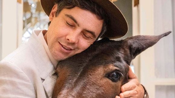 Do macaco pintor ao burro fofoqueiro: 6 amigos mais improváveis (e divertidos) das novelas brasileiras que valem mais do que muitos humanos