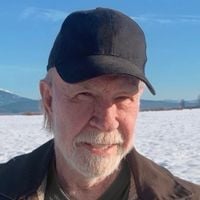 Em 2026, mortes de Chuck Norris, Dennis Carvalho, Manoel Carlos, Isabel Veloso e mais abalam mundo dos famosos e deixam profunda saudade nos fãs