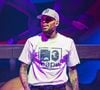 A mulher, identificada como Maria Avila, foi atacada pelo cachorro de Chris Brown enquanto trabalhava em sua casa
