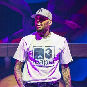 A mulher, identificada como Maria Avila, foi atacada pelo cachorro de Chris Brown enquanto trabalhava em sua casa