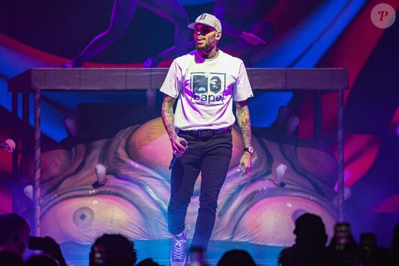 A mulher, identificada como Maria Avila, foi atacada pelo cachorro de Chris Brown enquanto trabalhava em sua casa