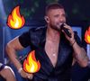 'Feliz mesmo é a Paolla Oliveira': Diogo Nogueira enlouquece a web com charme e sensualidade em show no 'BBB 25'
